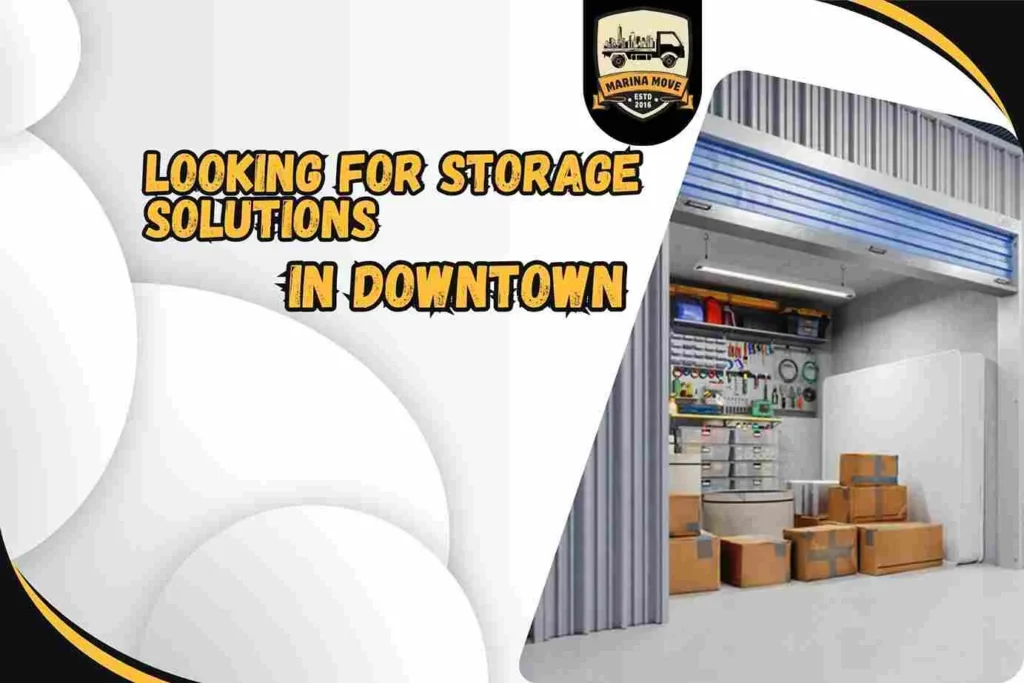 Looking for storage solutions in Downtown?