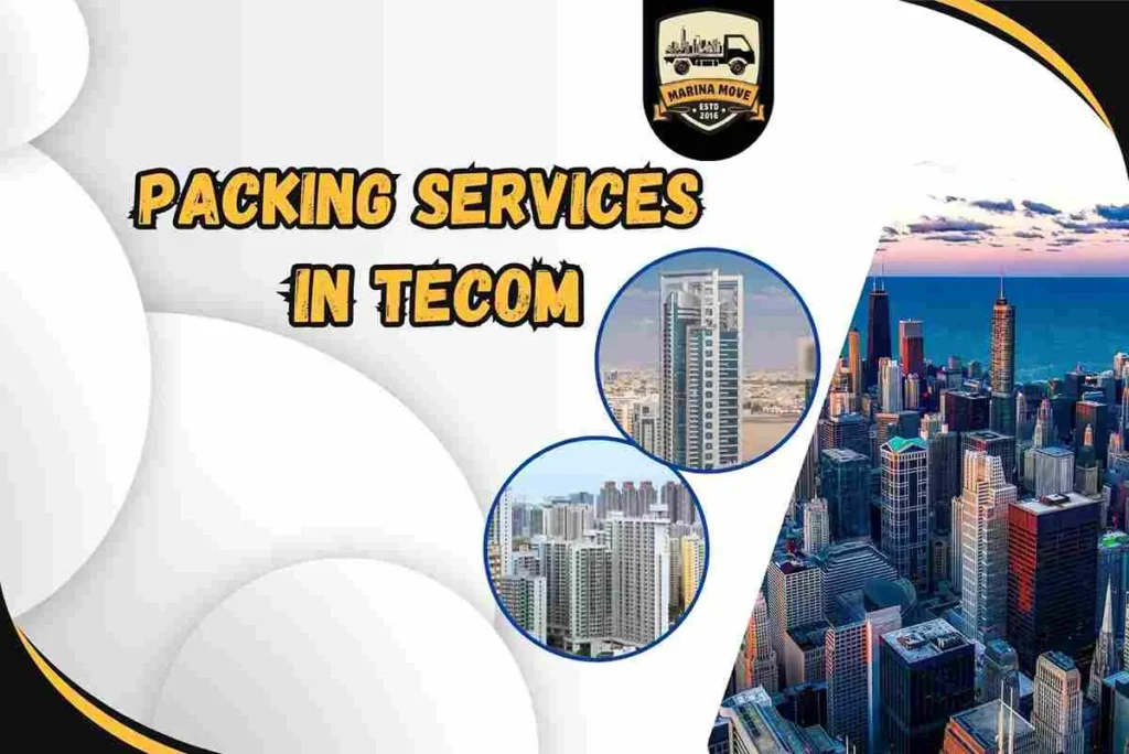 Packing Services in Tecom