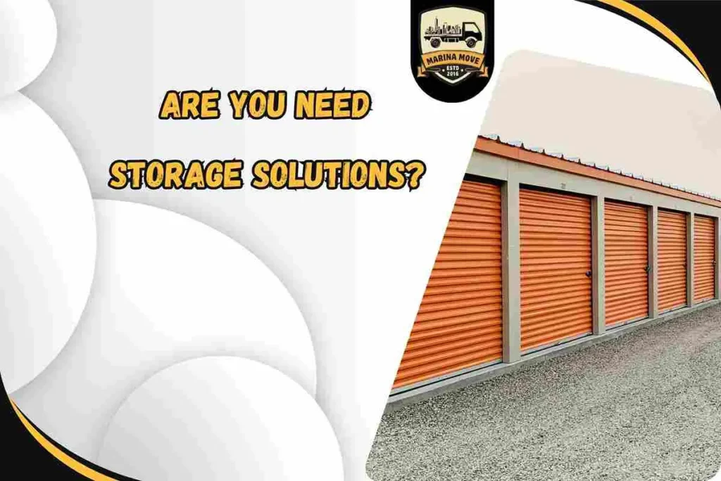 Are you need Storage Solutions?