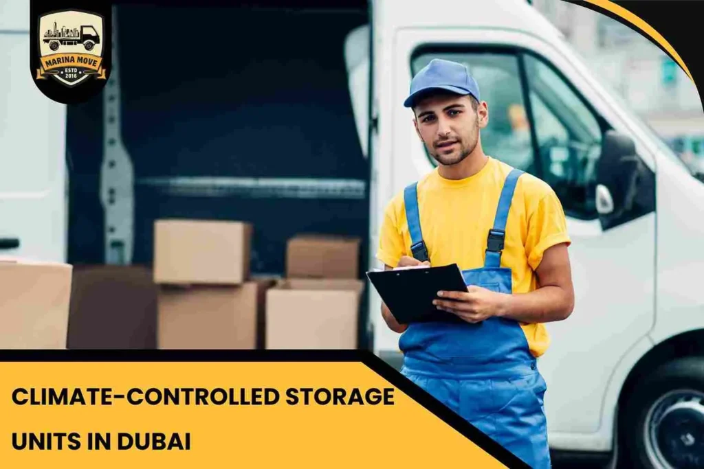 Climate-Controlled Storage Units in Dubai