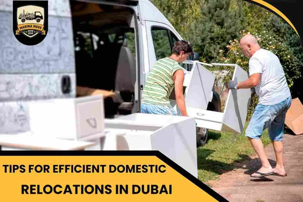 Tips for Efficient Domestic Relocations in Dubai