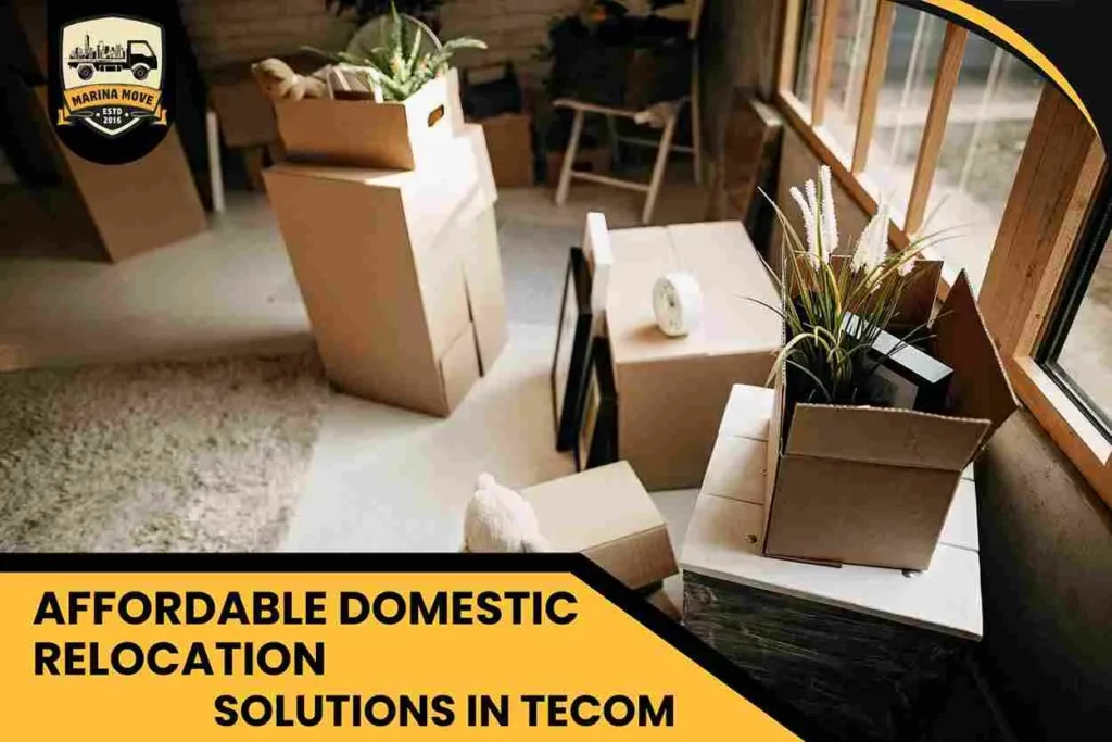 Affordable Domestic Relocation Solutions in Tecom