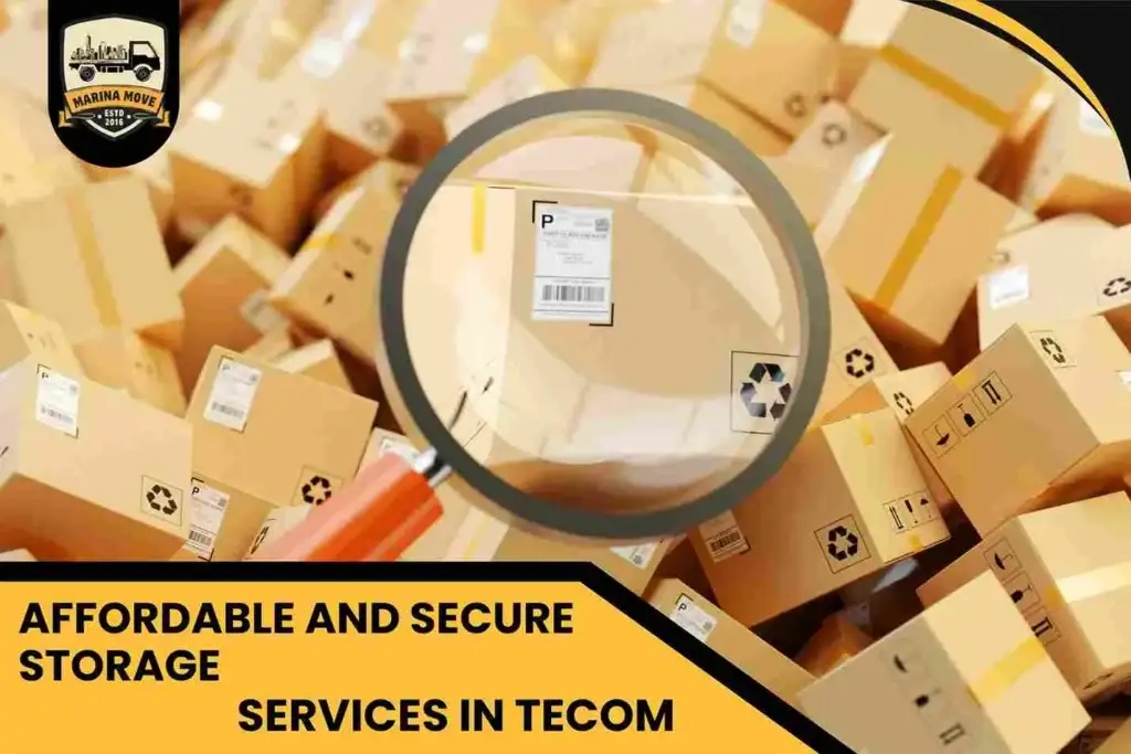 Affordable and Secure Storage Services in Tecom