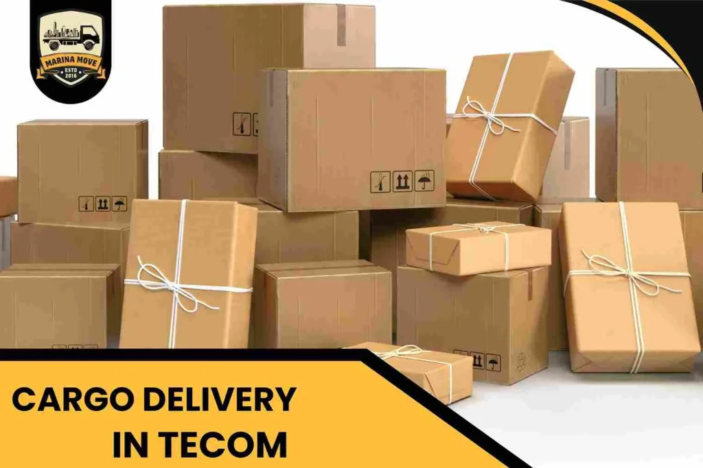 Cargo Delivery in Tecom