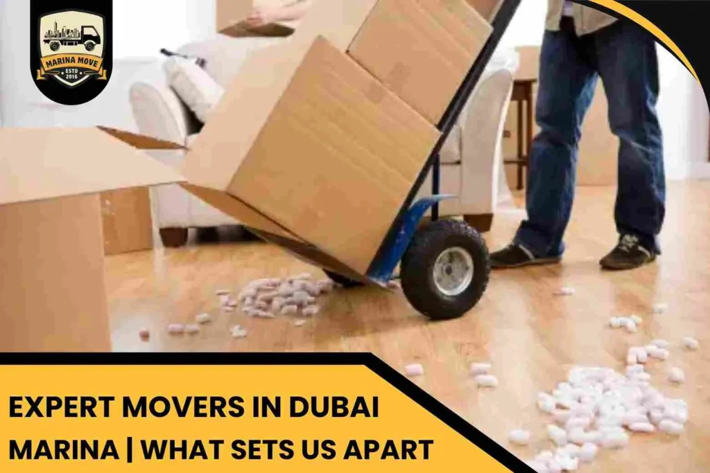 Expert Movers in Dubai Marina | What Sets Us Apart