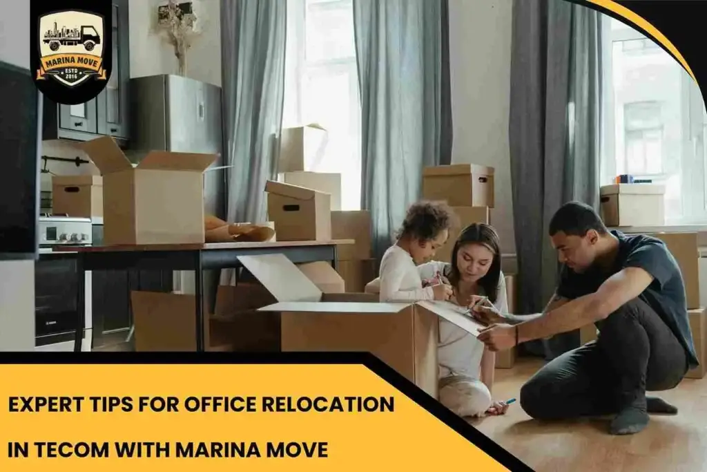 Expert Tips for Office Relocation in Tecom with Marina Move