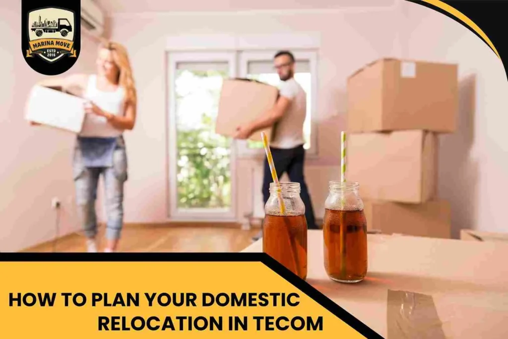 How to Plan Your Domestic Relocation in Tecom