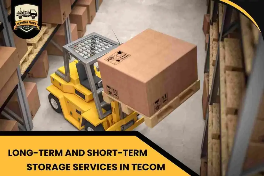 Long-Term and Short-Term Storage Services in Tecom