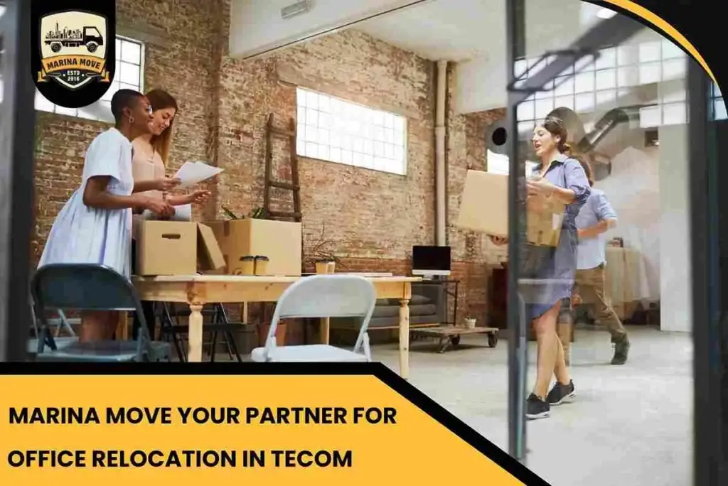 Marina Move Your Partner for Office Relocation in Tecom