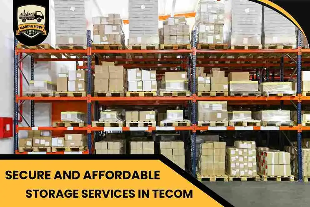 Secure and Affordable Storage Services in Tecom