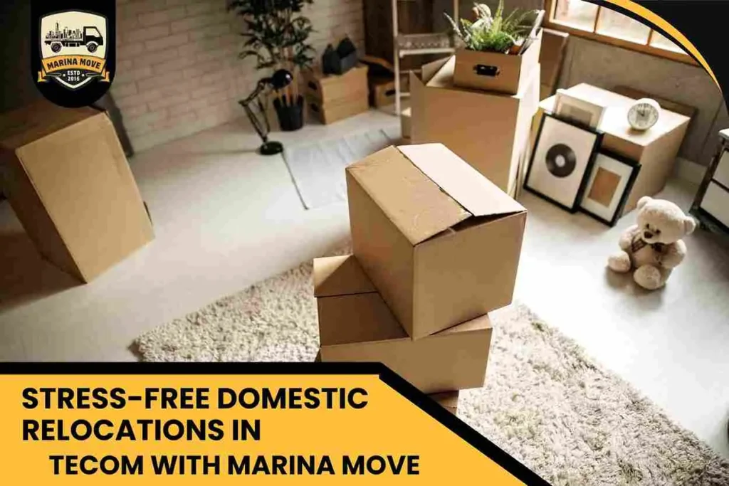 Stress-Free Domestic Relocations in Tecom with Marina Move