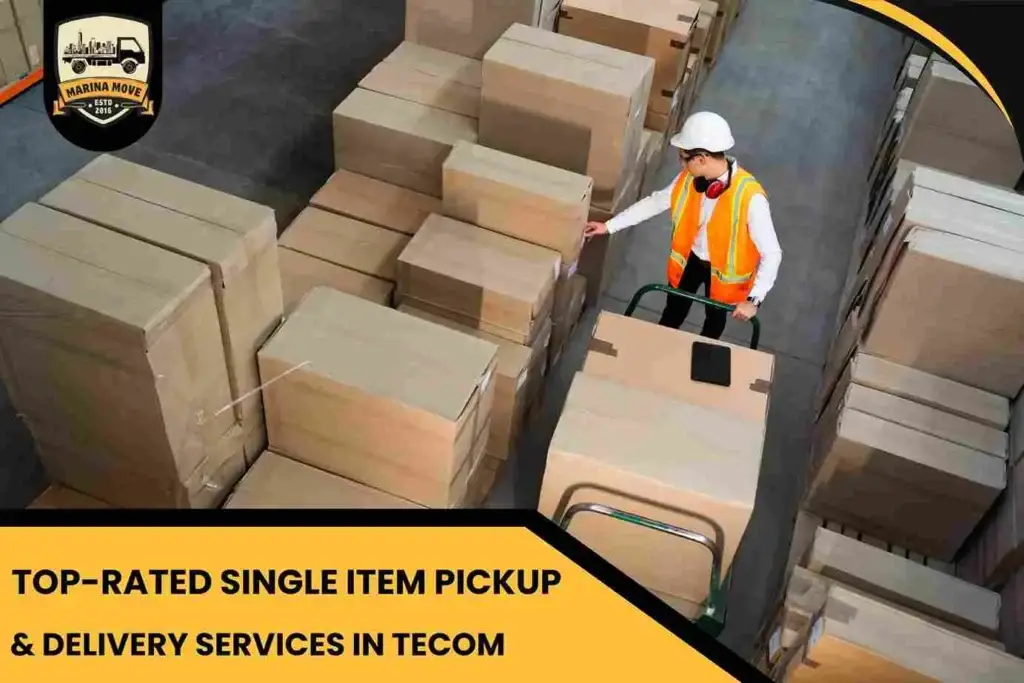 Top-Rated Single Item Pickup & Delivery Services in Tecom